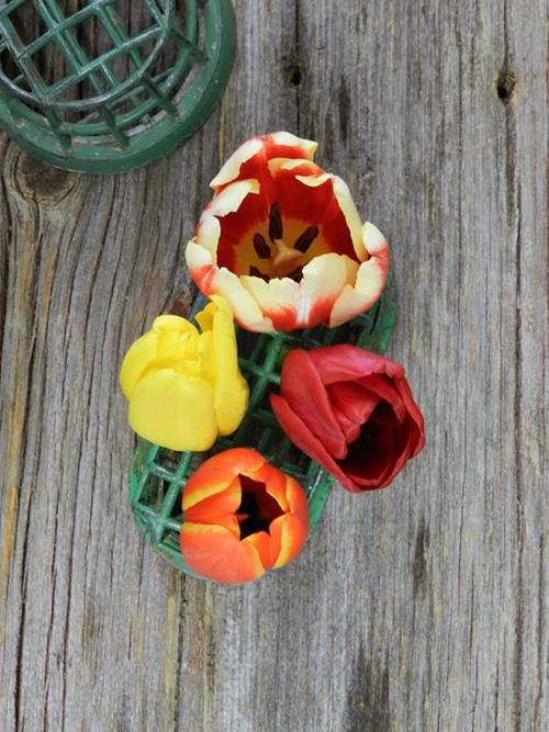FALL PACK SEASONAL TULIPS